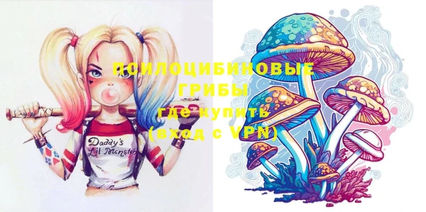 хмурый Вязники