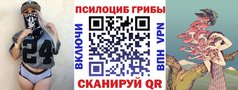 Купить  Луга  Псилоцибиновые грибы прущие грибы 