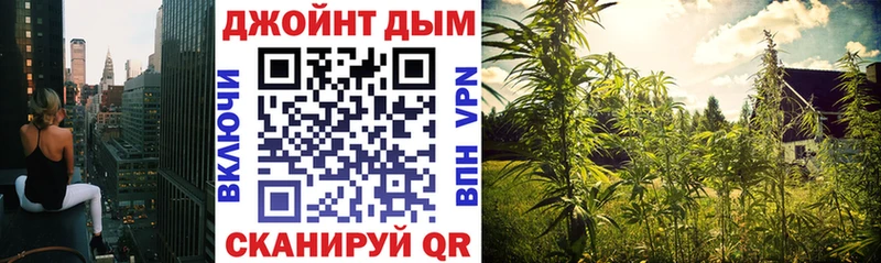 Конопля OG Kush  Купить  Луга 